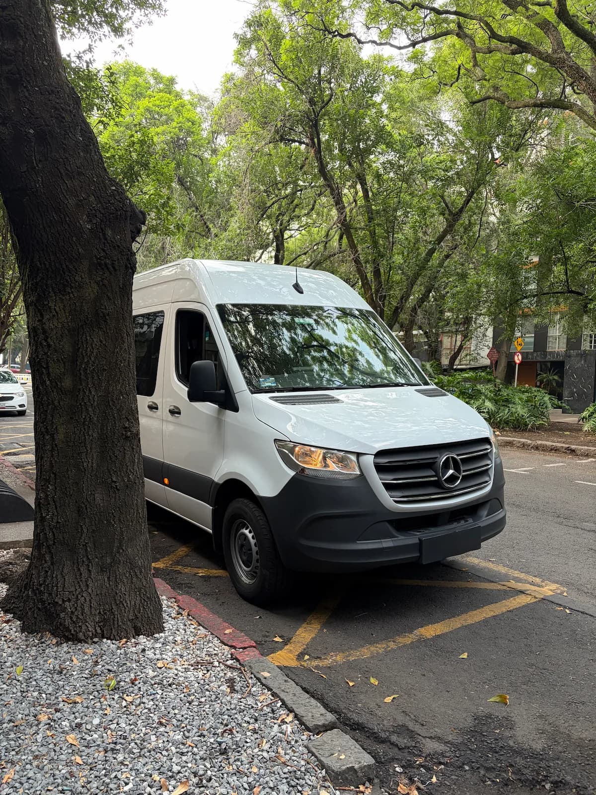 Bátiz Movilidad Corporativa operando en CDMX